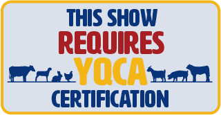 Badge stating This show accepts YQCA Certification