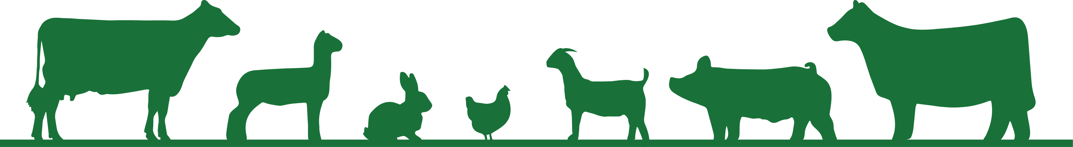 Silhouette of livestock animals